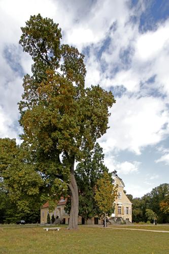 betonware, Betonbank, Bank Träger, Fertigteil, Betonmöbel, Sitz, modular, Park